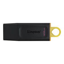 Kingston 128GB Flash Stick